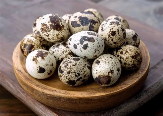 Freeze Dried Quail Eggs for Cats & Dogs